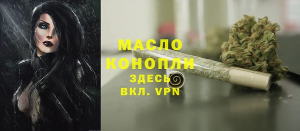 mdpv Инта