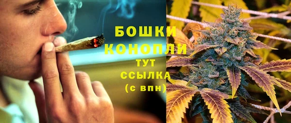 mdpv Инта