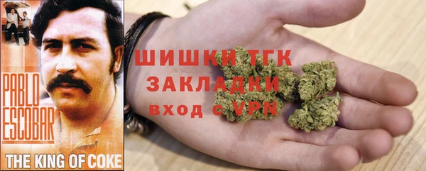 mdpv Инта