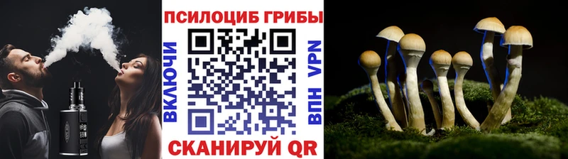 Галлюциногенные грибы прущие грибы  Купить где  Волосово 