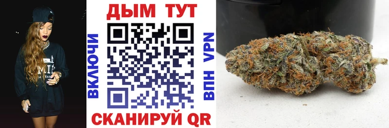 Купить где  Волосово  Каннабис SATIVA & INDICA 